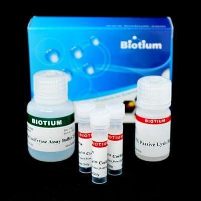 Biotium.png